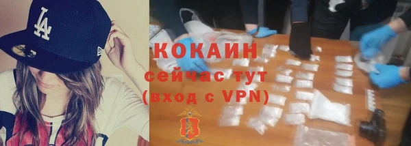дурь Касимов