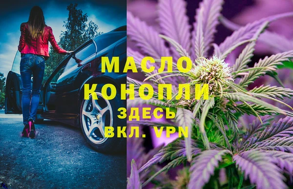 молекула духа Карпинск