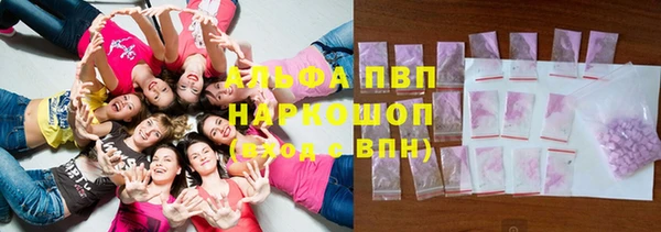 молекула духа Карпинск