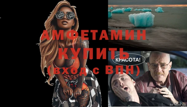молекула духа Карпинск