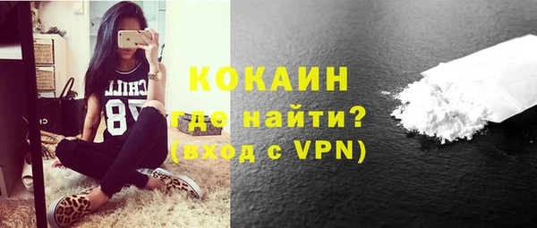 молекула духа Карпинск